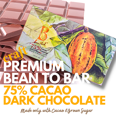 75% cacao dark chocolate ben's blend ph